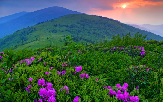 525519 (a): :2560x1600
